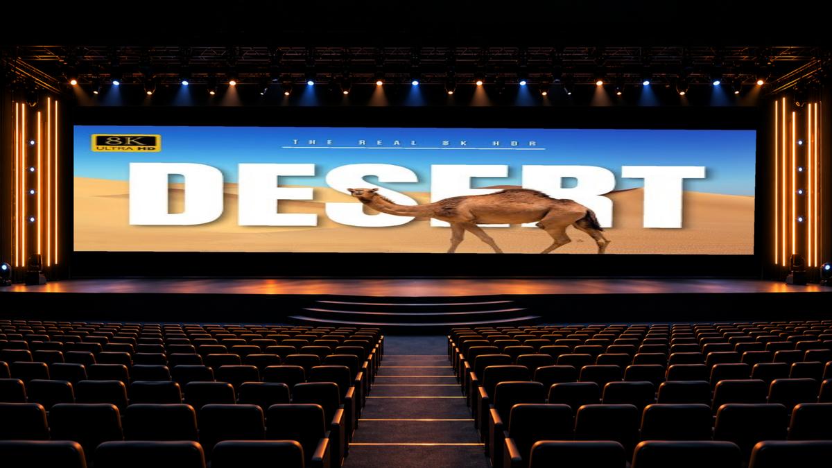Built to Captivate Every Audience